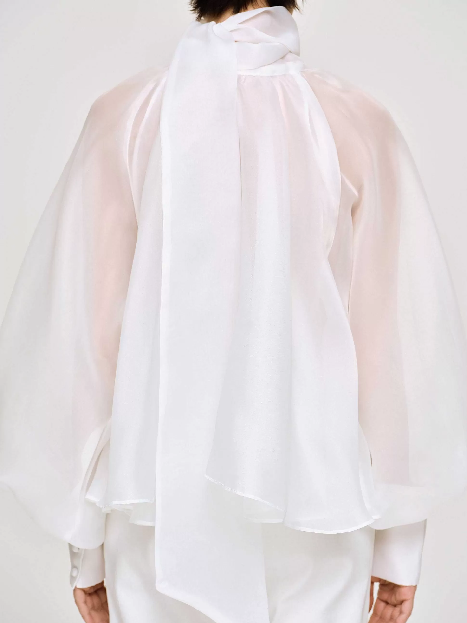 Women Source Unknown Accessories-Balloon Sheer Blouse, White
